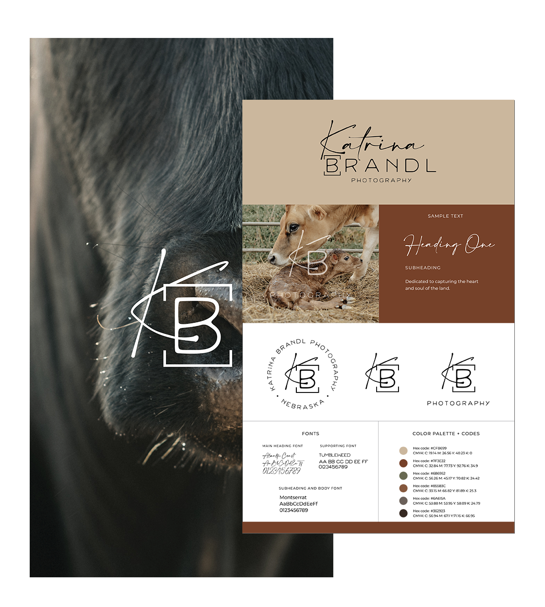 Promotional material for "katrina brand photography" featuring brand logo, typography, and color palette codes, alongside an image of a dog.