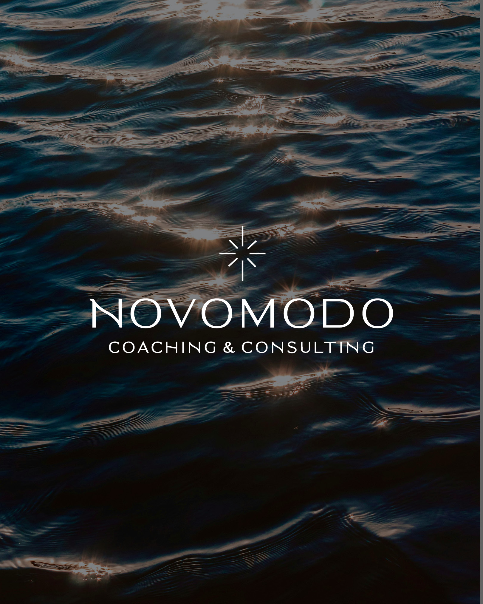 NovoModo Coaching and Consulting Logo and Brand Design NovoModo Coaching and Consulting Logo and Brand Design